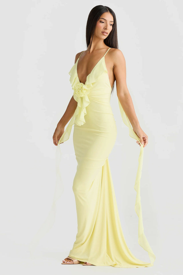 Amina - Nina Maxi Dress